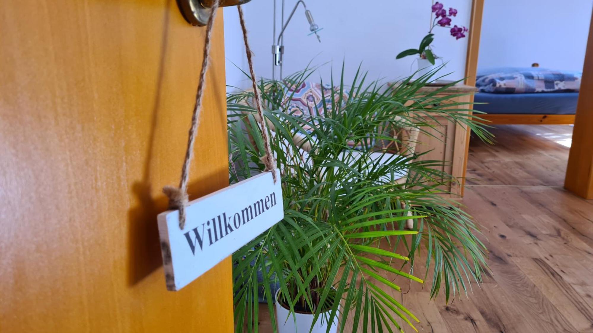 Fewo Mein Panama Bernkastel-Kues Zewnętrze zdjęcie